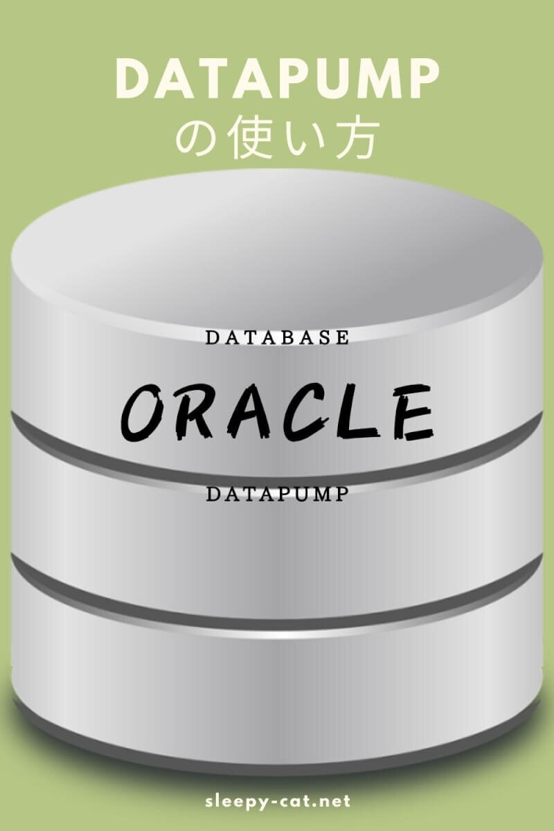  Oracle Datapump expdp impdp 